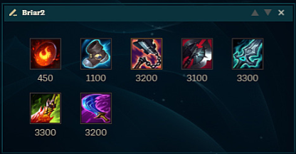 Items Briar