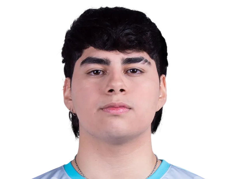 Viciun — Nicolas Andres Bravo Canales