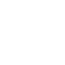 BRUTE