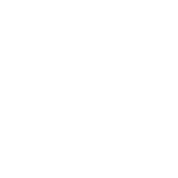 Native Gaming