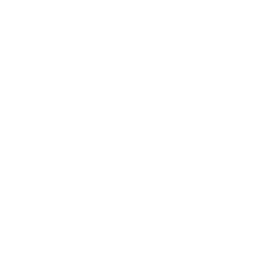 No Org