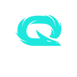 QLASH